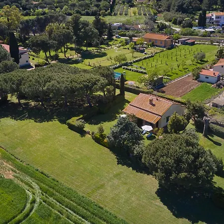 Mare Etrusco 5 Apartment *